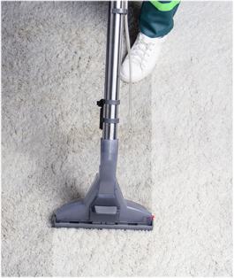 Professional carpet cleaning by Mella.